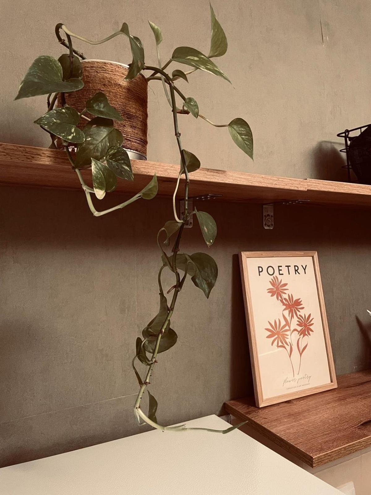Drd Pristine Apartment Dış mekan fotoğraf